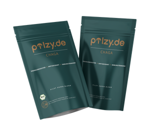 Chaga Pilzpulver